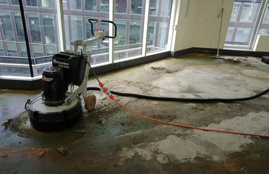 SCHWAMBORN, GAINING GROUND WITH US.