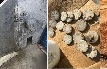 SLURRY SOLUTIONS CREATING MORE EFFICIENT SOLUTIONS FOR CONTROL ONSITE