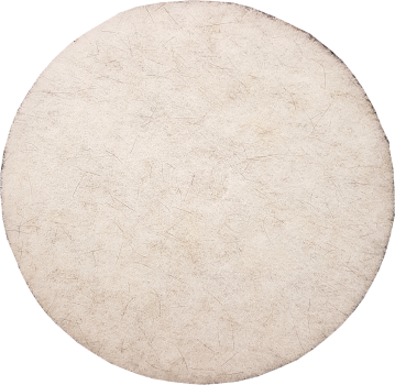 C2 255mm (10'') White Pad for dry polishing with C2 Ultra Seal.